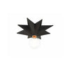 Crystorama Astro 12'' Flush Mount in Black - Front View
