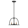 Crystorama Abbott 13.75'' Chandelier in Black - Additional View
