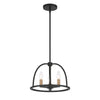 Crystorama Abbott 13.75'' Chandelier in Black - Additional View