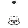 Crystorama Abbott 13.75'' Chandelier in Black - Additional View