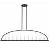 Crystorama Abbott 54'' Linear Chandelier in Black - Front View