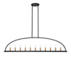Crystorama Abbott 54'' Linear Chandelier in Black - Additional View