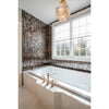 Crystorama Addis 17.75'' Chandelier in Aged Brass - Lifestyle View