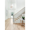 Crystorama Addis 31.5'' Chandelier in Aged Brass - Lifestyle View