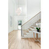 Crystorama Addis 31.5'' Chandelier in Aged Brass - Lifestyle View