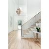 Crystorama Addis 31.5'' Chandelier in Polished Chrome - Lifestyle View