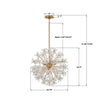 ADL-506-AG-CL Adley 23.75'' Chandelier | Dimensions Image
