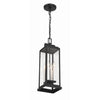 Crystorama Aspen 6.5'' Outdoor Pendant in Matte Black - Additional View