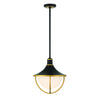 Crystorama Atlas 16.5'' Outdoor Pendant in Matte Black + Textured Gold - Additional View