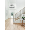 Crystorama Bailey 48'' Chandelier in Matte Black - Lifestyle View