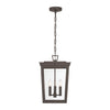 BEL-A8065-TZ Belmont 12'' Outdoor Pendant | Alternate Image