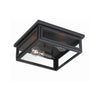 Crystorama Byron 12.75'' Outdoor Flush Mount in Matte Black - Additional View