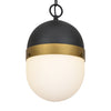 CAP-8507-MK-TG Brian Patrick Flynn Capsule 1 Light Outdoor Pendant | Alternate Image