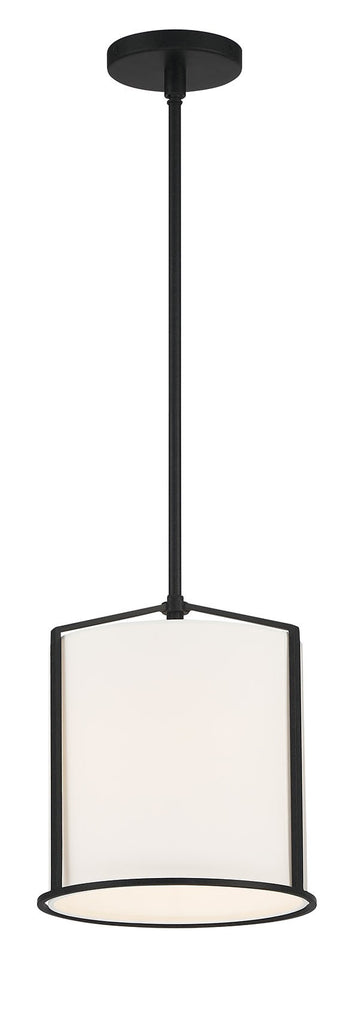 CAR-9201-BK Carlyn 1 Light Mini Pendant | Main Image