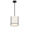 Crystorama Carlyn 10'' Pendant in Black - Additional View