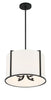 CAR-9204-BK Carlyn 4 Light Chandelier | Alternate Image