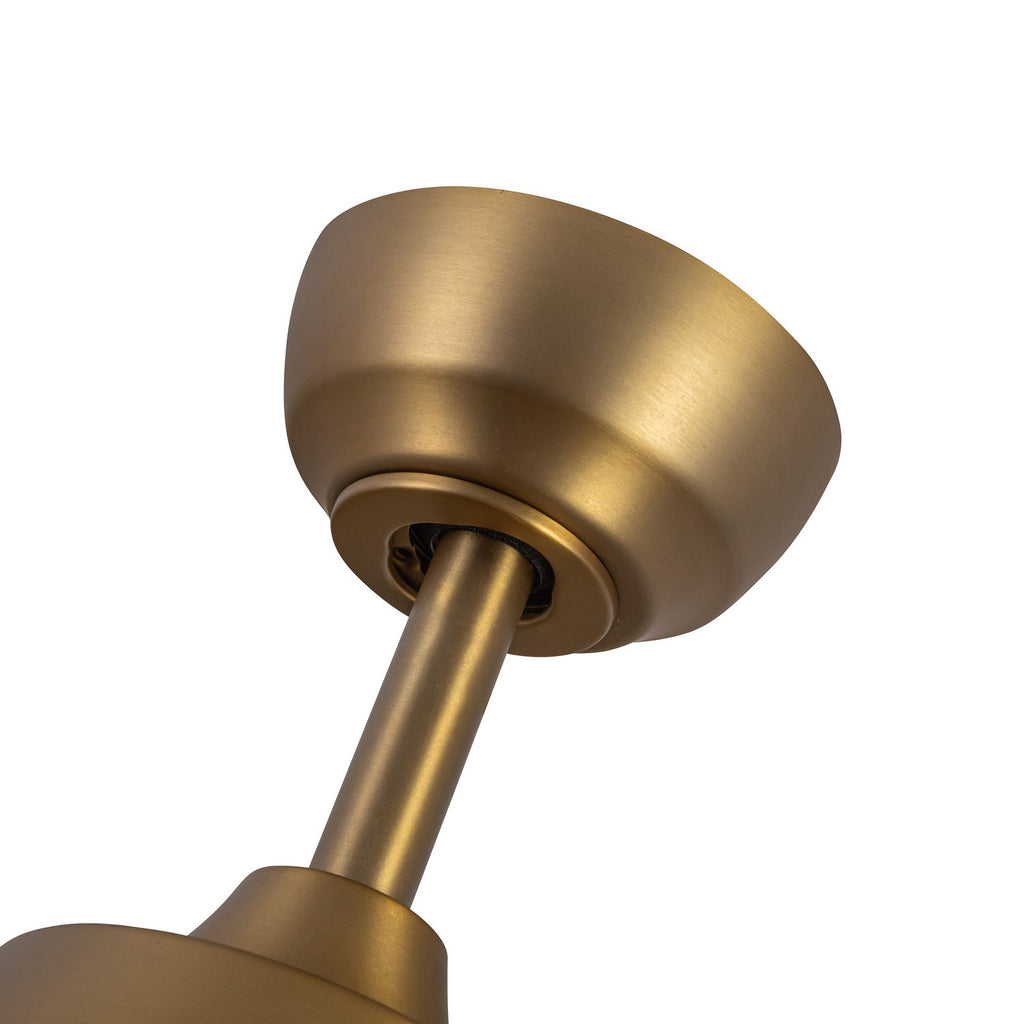 CF91954-BG/MB Thalia 1 Light Ceiling Fan | Alternate Image