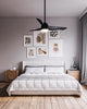 CF91954-MB Thalia 1 Light Ceiling Fan | Lifestyle Image
