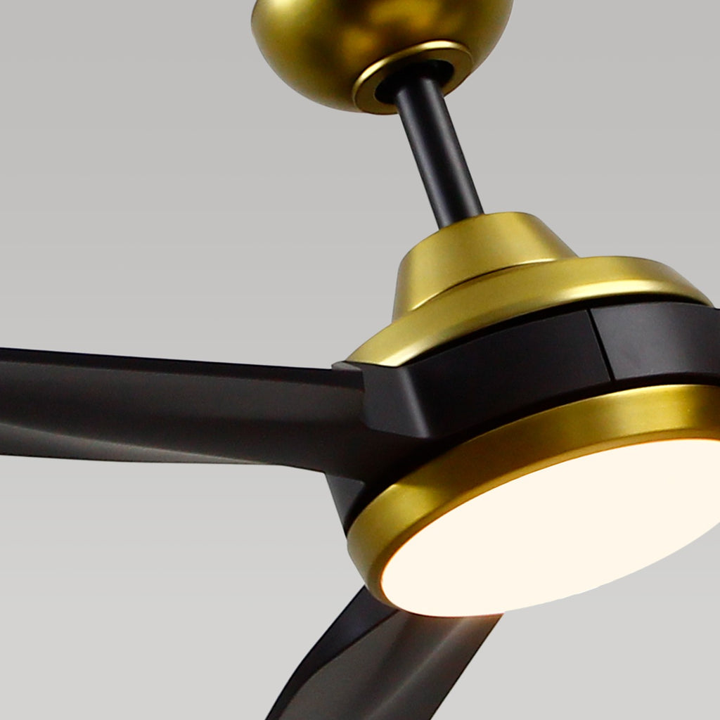 CF95960-BG Ryan Pauly Fremont 1 Light Ceiling Fan | Alternate Image