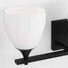 DJV1023MBK Toffino 3 Light Bathroom Vanity | Alternate Image