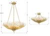 DOR-B7706-RG Doral 6 Light Chandelier | Dimensions Image