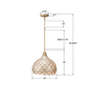 DRB-7003-SG Darby 14'' Pendant | Dimensions Image