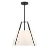 Crystorama Everly 20" Pendant in Black - Additional View