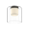 FM53509-BK/CL Ryan Pauly Birch 1 Light Flush Mount | Main Image