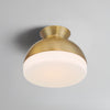 GID-4000-VG Gidget 10.25'' Flush Mount | Lifestyle Image