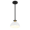 Crystorama Gigi 10'' Pendant in Black + Aged Brass - Additional View