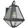 GLA-9701-WT-BC Brian Patrick Flynn Glacier 1 Light Outdoor Sconce | Alternate Image