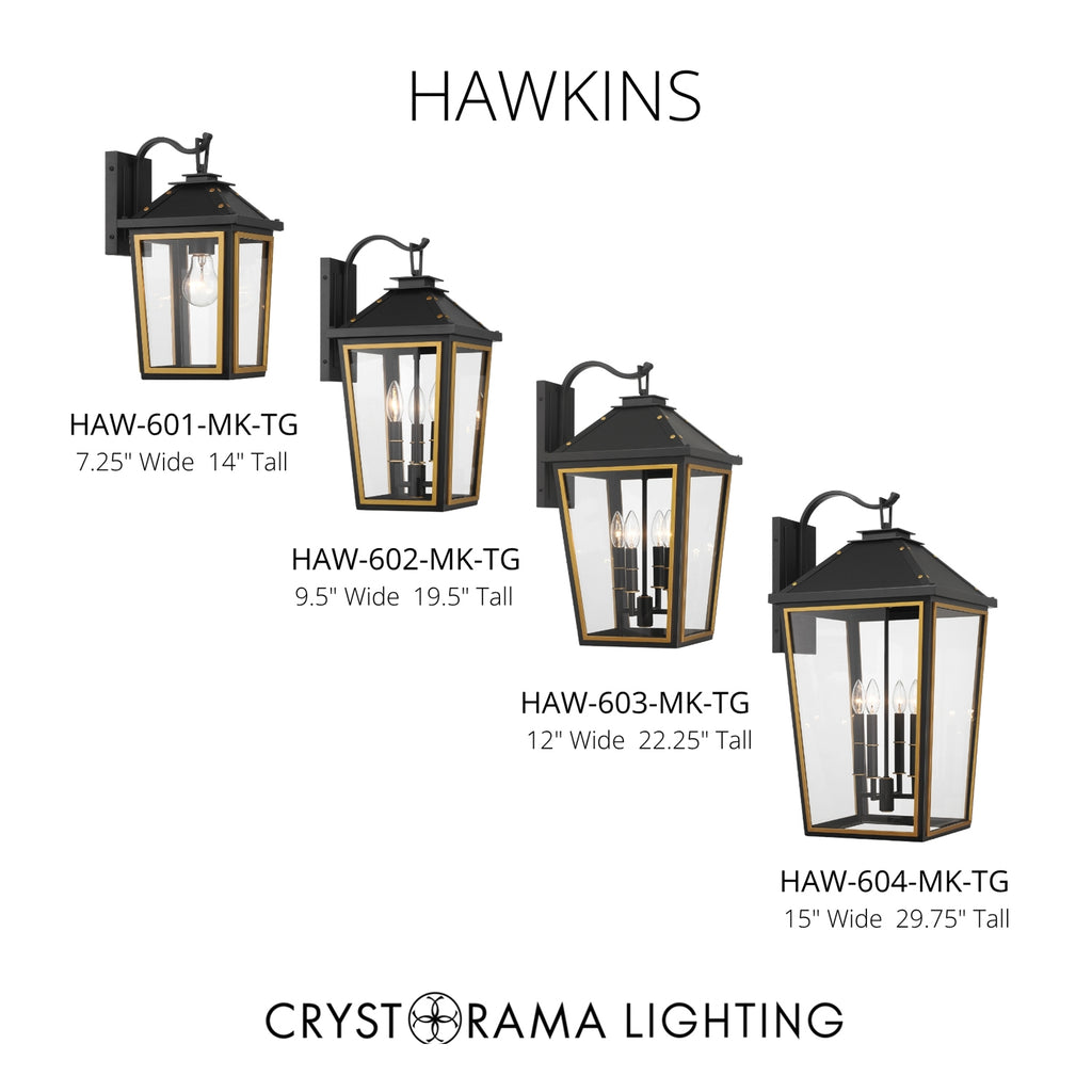 Crystorama Hawkins 7.25'' Outdoor Sconce - Collection Image