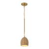 JAC-10502-SG Jace 6'' LED Pendant | Main Image