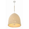 Crystorama Jasper 20'' Pendant in Matte White - Additional View