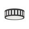 Crystorama Kendal 14'' Flush Mount in Black Forged - Additional View