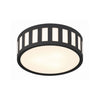 Crystorama Kendal 14'' Flush Mount in Black Forged - Additional View
