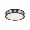 Crystorama Kendal 22.5'' Flush Mount in Black Forged - Additional View