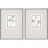 14125 Botanicals, Piece of Home S/2 | Main Image