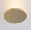 PI1896501-AGB Blyford 1 Light Flush Mount | Alternate Image