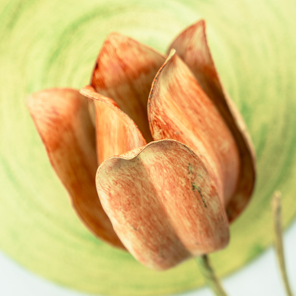 4805-SR Southport 20'' Chandelier | Finish Image