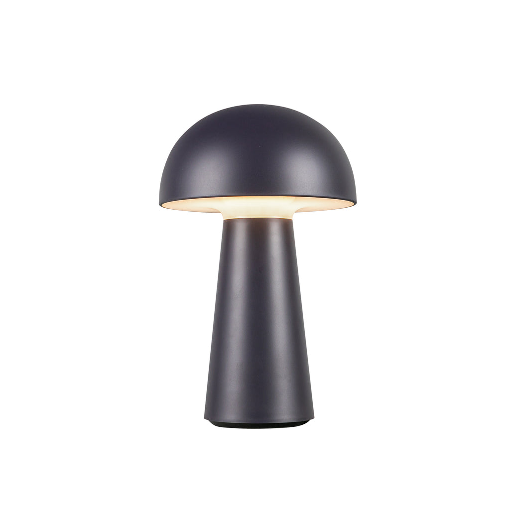 TL64108-NV Asher 1 Light Table Lamp | Main Image