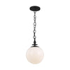 TP1031AI Capri 1 Light Pendant | Main Image