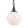 TP1031AI Capri 1 Light Pendant | Alternate Image