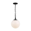 TP1041AI Capri 1 Light Pendant | Main Image