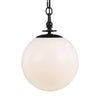 TP1041AI Capri 1 Light Pendant | Alternate Image