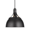 TP1051AI Logan 1 Light Pendant | Alternate Image