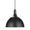 TP1061AI Logan 1 Light Pendant | Alternate Image