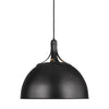 TP1071AI Logan 1 Light Pendant | Alternate Image