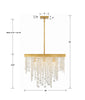 WIN-618-GA-CL-MWP Winham 8 Light Chandelier | Dimensions Image