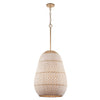 ZAN-9013-SG Zanzibar 16'' Pendant | Alternate Image